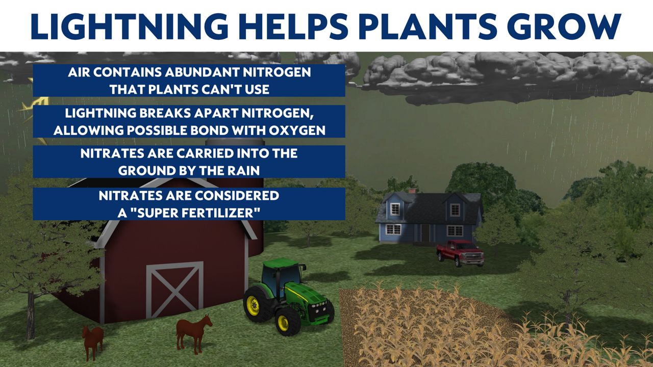Growth in a flash How lightning is good for soil